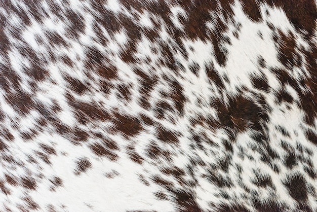 Fondo de textura de piel de vaca marrón y blanca