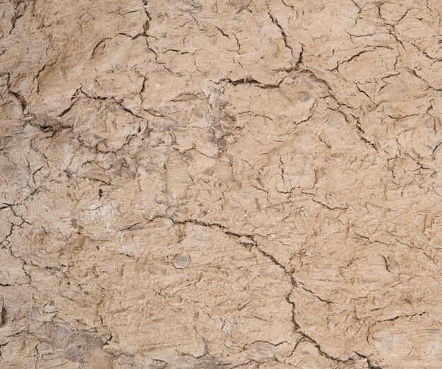 Fondo de textura de tierra agrietada