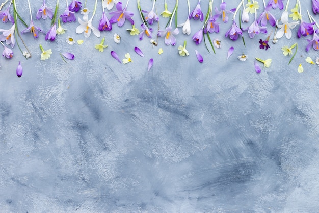 Fondo texturizado gris y blanco con borde de flores de primavera púrpura y blanco