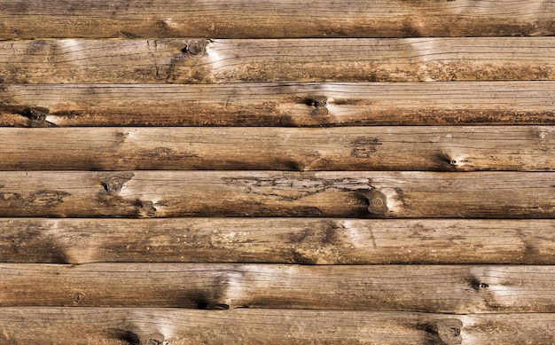 Fondo de troncos de árboles secos de madera