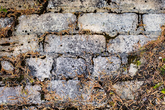 Fondo vacío Antiguo muro de ladrillo cubierto de musgo.