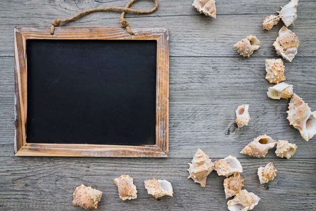 Fondo veraniego con pizarra en blanco y conchas marinas