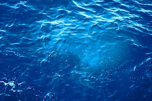 Foto gratis fondo de verano de agua de mar.
