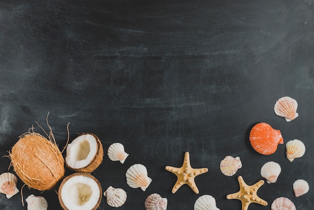 Foto gratuita fondo de verano con conchas