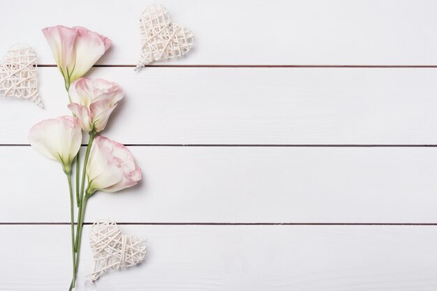 Forma de corazón hecha a mano con flores rosadas de eustoma en escritorio de madera blanca