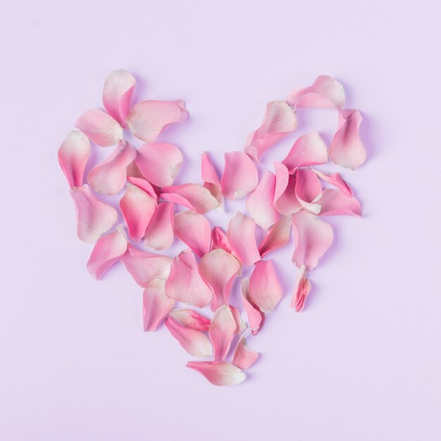 Forma de corazón de pétalos de rosas