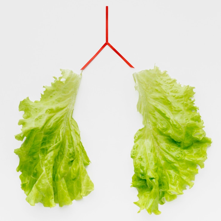Foto gratuito forma de pulmones con ensalada verde