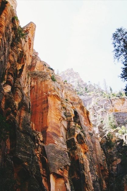 Foto gratuita formaciones rocosas en el parque nacional zion, ee.uu.