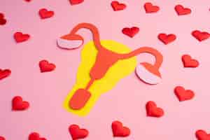 Foto gratuita formas de corazón que rodean la forma de ovario de papel