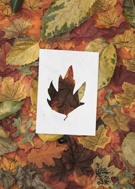 Formas de otoño con concepto de hojas