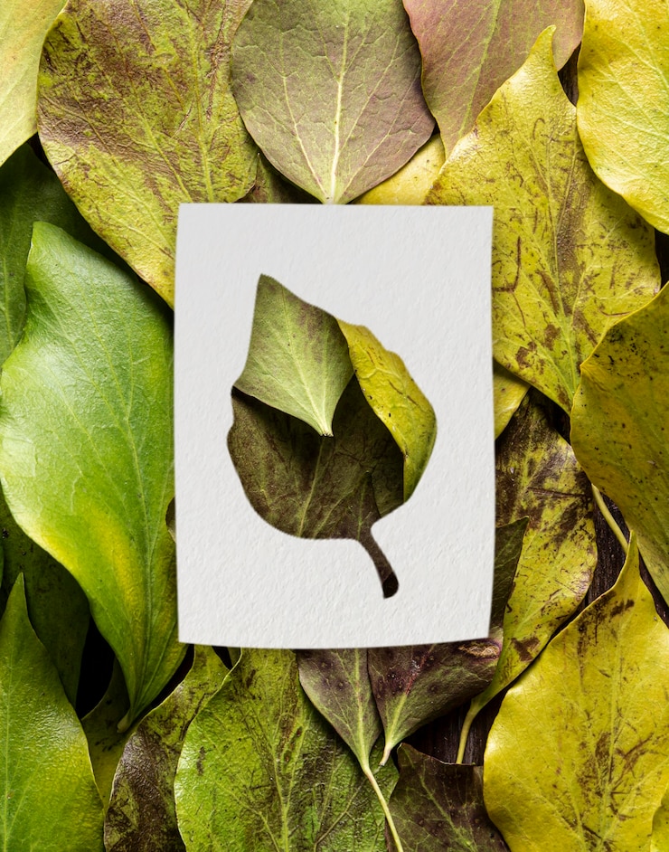 Foto gratuito formas de otoño con concepto de hojas