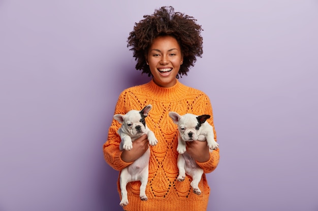 Foto de una alegre hembra de piel oscura con cabello rizado, tiene dos cachorros lindos de pedigrí recién nacidos, encuentra un nuevo anfitrión para mascotas, está de buen humor, usa un jersey naranja, aislado sobre una pared púrpura