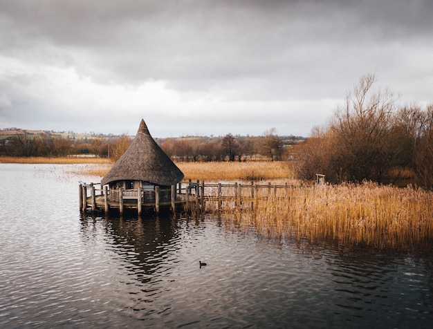 Foto gratuita foto de una cabaña de madera construida en el lago rodeado de caña de río marrón