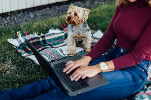 Foto de cerca, mujer estudiante sentada en la manta y hacer un picnic con su computadora portátil y su perro Yorkshire terrier. Mira el portátil.