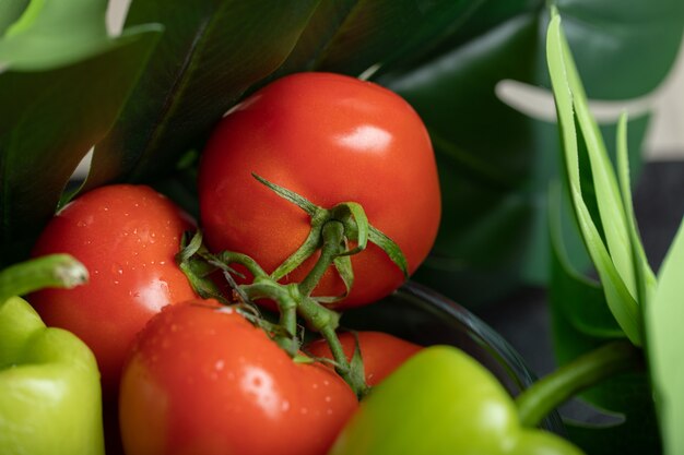 Foto de cerca de pimientos y tomates maduros frescos.