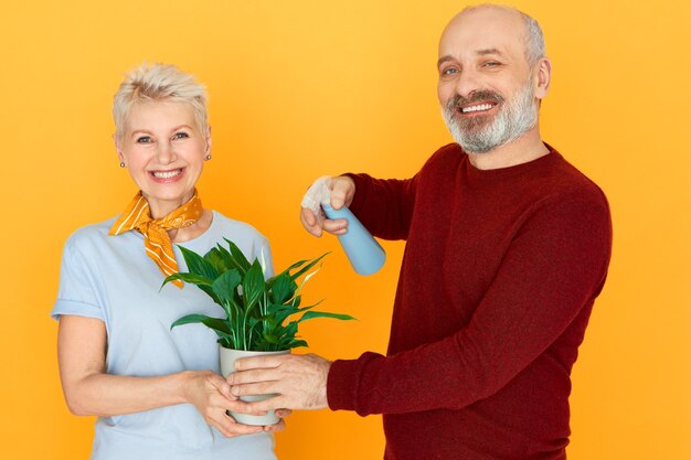 Foto de estudio de hermosa mujer madura sosteniendo houseplant mientras su guapo marido senior barbudo sosteniendo botella de spray, rociando sus hojas verdes, sonriendo