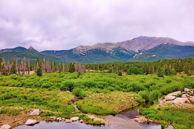 Foto fascinante de un hermoso bosque rodeado de montañas verdes bajo un cielo sombrío