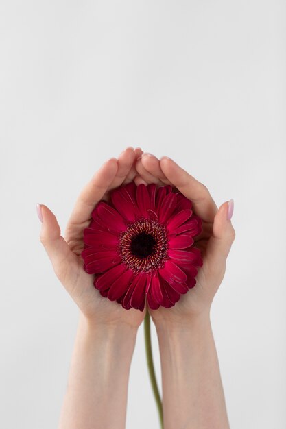 Foto de flor delicada