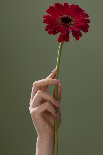 Foto de flor delicada