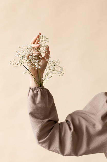 Foto de flor delicada