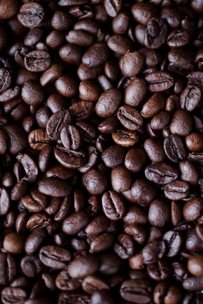 Foto de grano de café en tiro de estudio