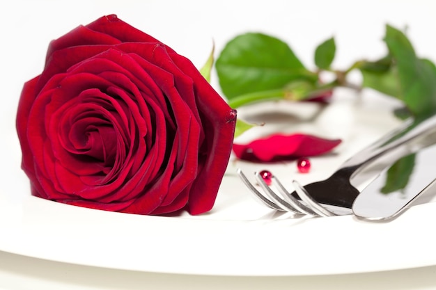 Foto de una hermosa rosa roja colocada sobre una placa blanca junto a un cuchillo y tenedor