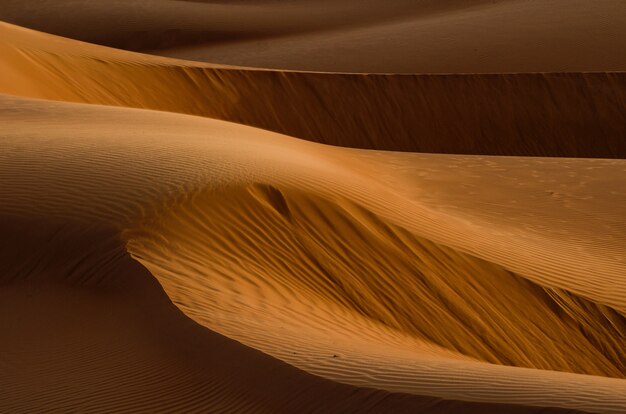 Foto de las hermosas dunas de color marrón dorado en el desierto