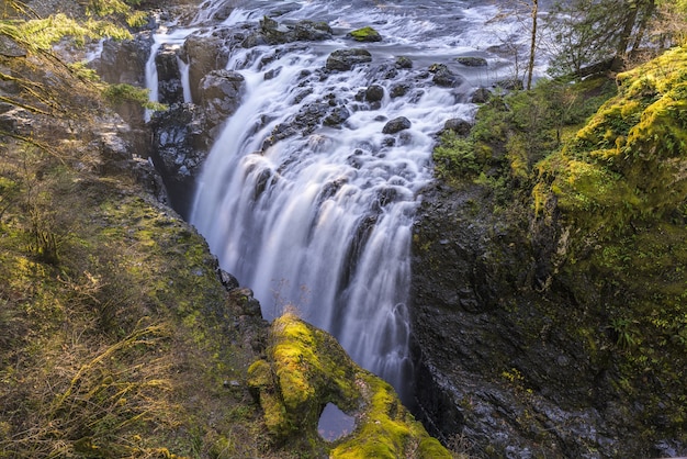 Foto de hermoso paisaje de cascadas que fluyen por un acantilado verde