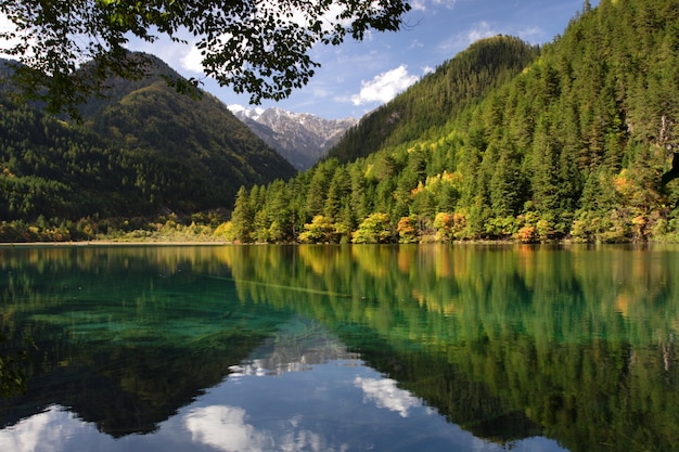 Foto gratuita foto de hermoso paisaje de un lago y montañas verdes en el parque nacional de jiuzhaigou en china