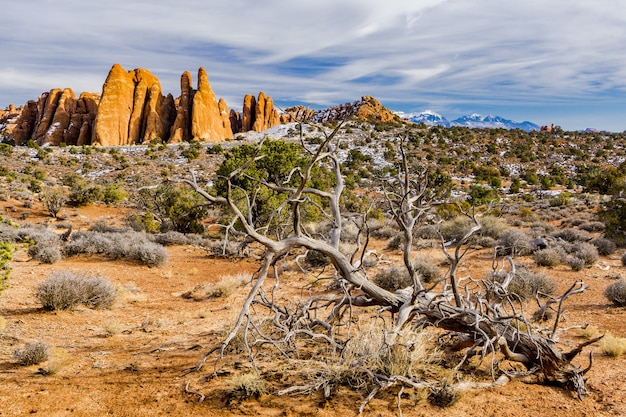 Foto de hermoso paisaje del Parque Nacional Arches en Utah, EE.