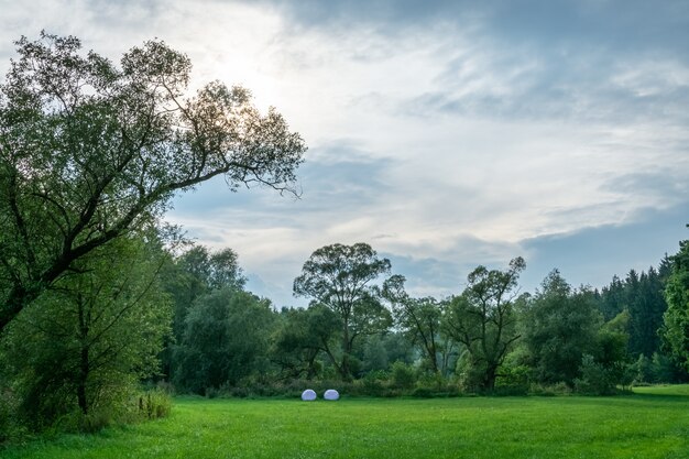Foto de hermoso paisaje de una zona de césped verde rodeada de árboles bajo el pacífico cielo azul