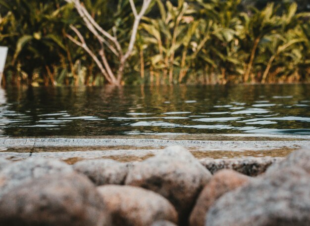 Una foto de un lago con rocas en frente y vegetación