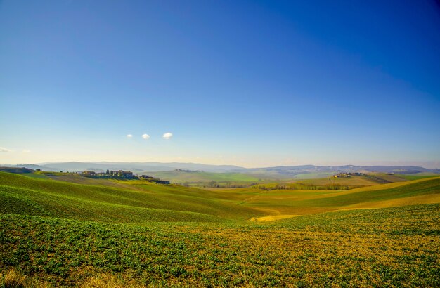 Foto de paisaje de un campo verde brillante y un cielo azul claro