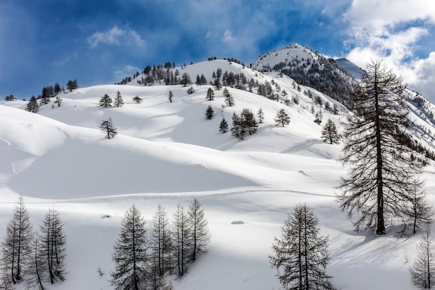 Foto de paisaje de las colinas en piamonte italia