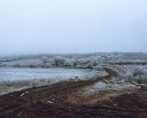 Foto de un paisaje nevado