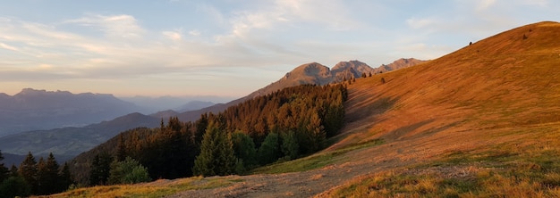 Foto panorámica de campos de naranjos y bosques durante la puesta de sol