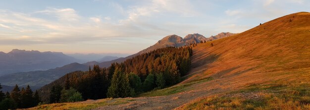 Foto panorámica de campos de naranjos y bosques durante la puesta de sol