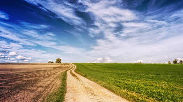 Foto panorámica de la carretera marrón junto a campos de hierba verde
