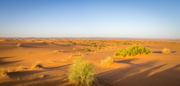 Foto panorámica de las dunas de Erg Chebbi, el desierto del Sahara, Marruecos