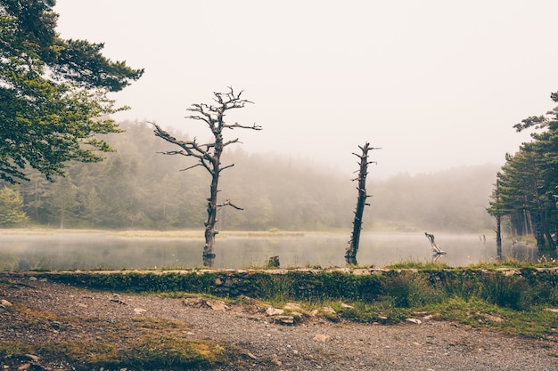 Foto panorámica de un paisaje de montaña y parcialmente cubierto de niebla