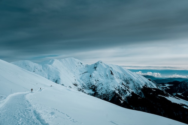 Foto panorámica de los picos de las montañas cubiertas de nieve con árboles alpinos bajo un cielo nublado