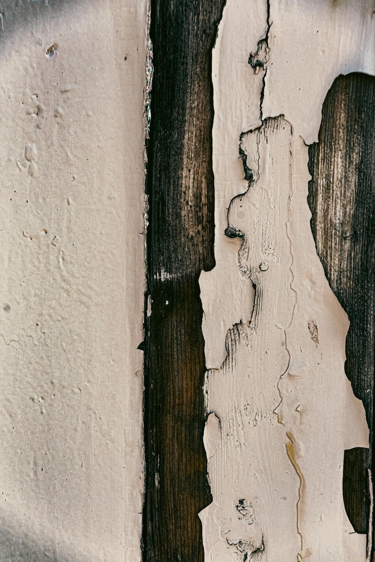 Foto gratuito foto del patrón de textura de la madera