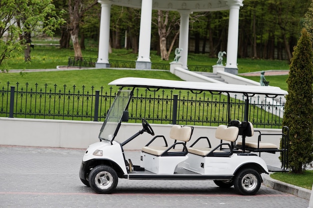 Foto de un pequeño carrito de golf parado en el patio