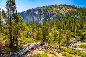 Foto gratuita foto de la pintoresca naturaleza del parque nacional de yosemite