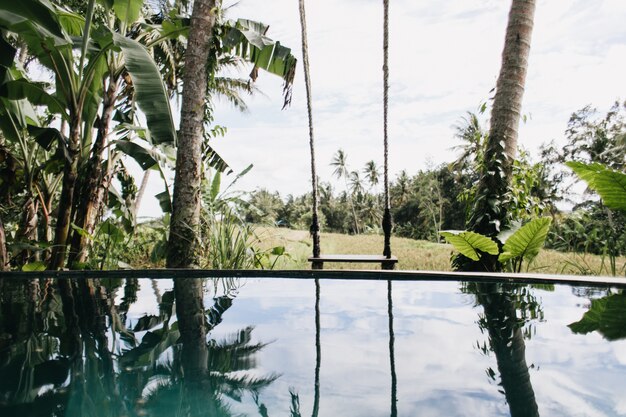 Foto de piscina exterior y palmeras. Paisaje exótico con bosque y lago.