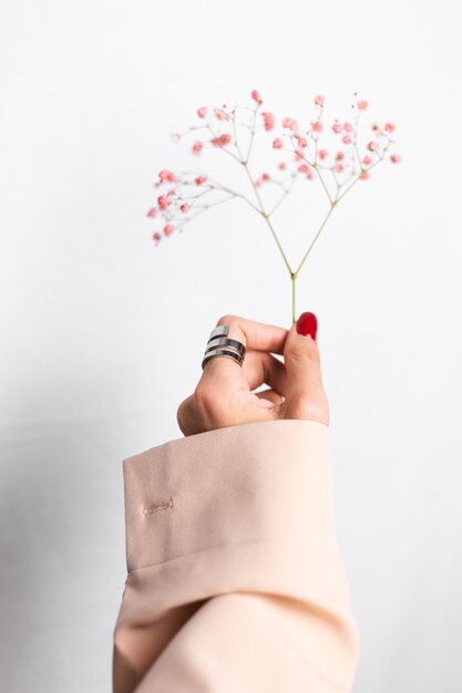 Foto suave suave de la mano de la mujer con gran anillo de manicura roja sostenga lindas flores secas rosa sobre blanco.