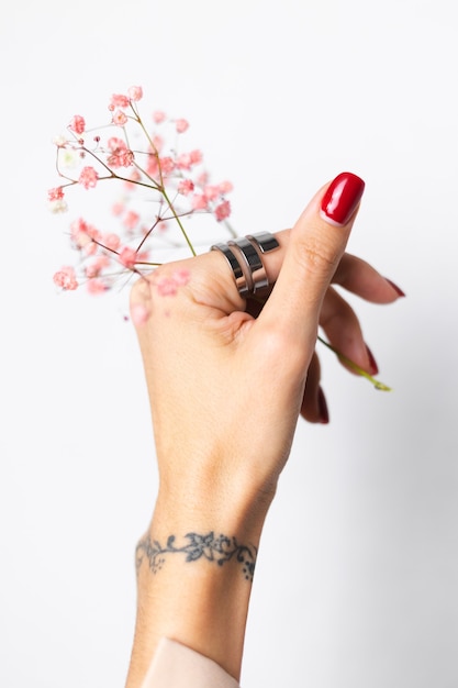 Foto suave suave de la mano de la mujer con gran anillo de manicura roja sostenga lindas flores secas rosa sobre blanco.