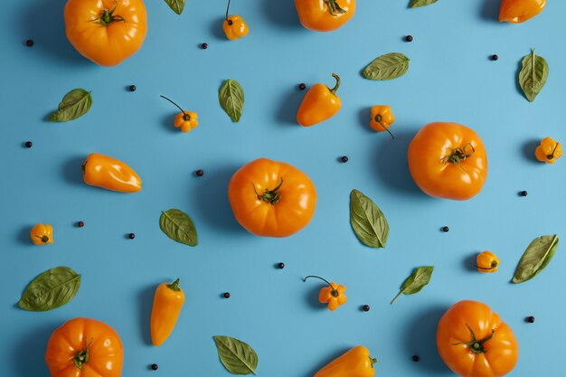 Foto de tomates maduros amarillos, pimentón, pimienta y hojas verdes de basílica sobre fondo azul. Colección de verduras frescas y especias para cocinar platos vegetarianos. Concepto de comida natural