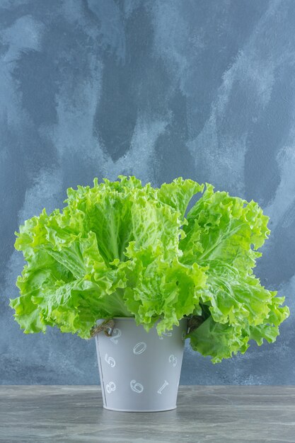 Foto vertical de hojas de lechuga verde.