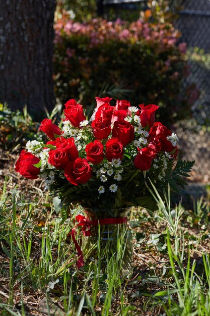 Foto vertical de ramo de rosas rojas con chamomiles en florero